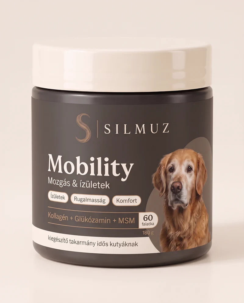 Silmuz Mobility